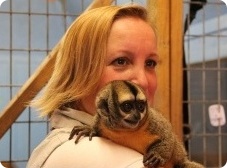 Tracy Dopko - Daventry Equine Appraisal Services